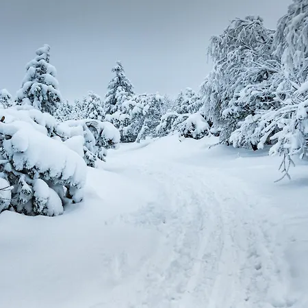 Appartement Zugspitze Weit.blick Altenberg