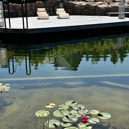 דירה Zugspitze Weit.blick Altenberg